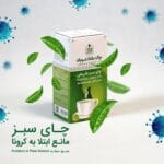 چای سبز؛ مانع ابتلا به کرونا