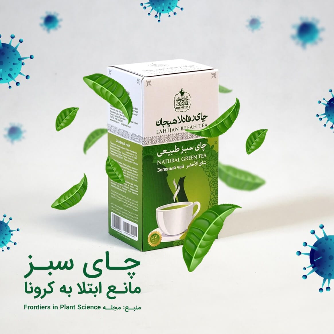 چای سبز؛ مانع ابتلا به کرونا 1 چای سبز؛ مانع ابتلا به کرونا