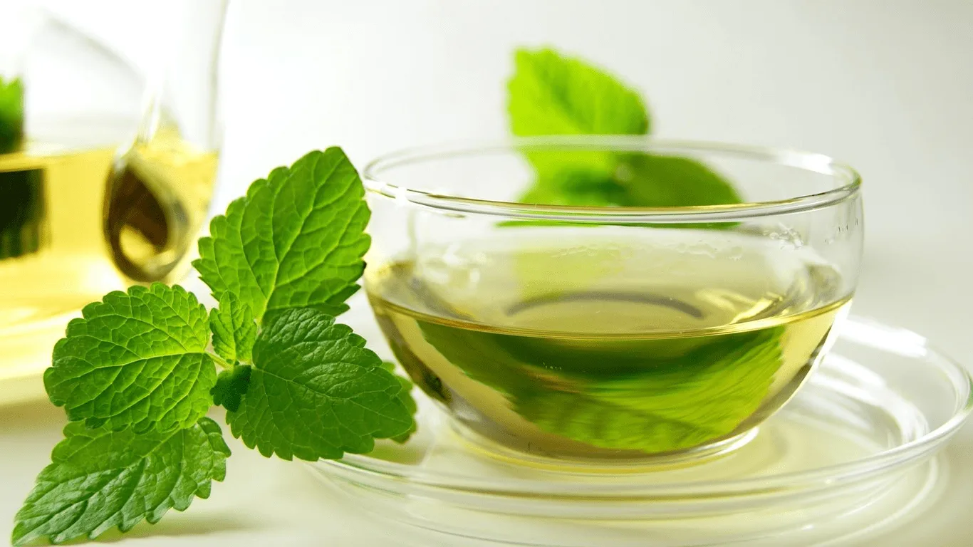 چای سبز برای تقویت حافظه 2 چای سبز برای تقویت حافظه