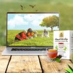 آنلاین فروشگاه اینترنتی چای رفاه لاهیجان | خرید بهترین چای ایرانی