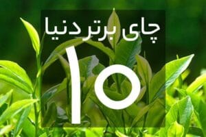 Untitled 1 فروشگاه اینترنتی چای رفاه لاهیجان | خرید بهترین چای ایرانی