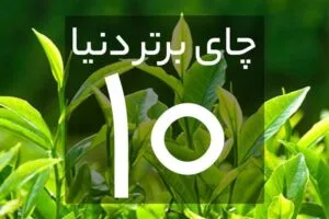 Untitled 1 فروشگاه اینترنتی چای رفاه لاهیجان | خرید بهترین چای ایرانی