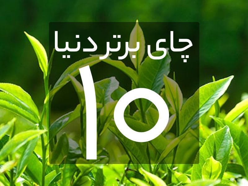 ده چای برتر دنیا (انواع چای) 1 Untitled 1 فروشگاه اینترنتی چای رفاه لاهیجان | خرید بهترین چای ایرانی