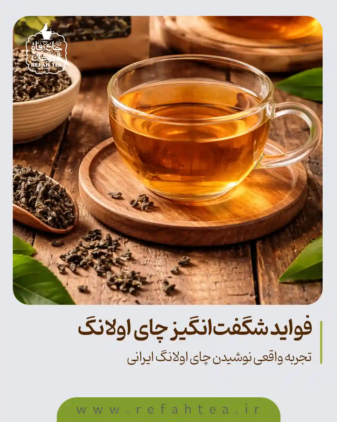 چای اولانگ