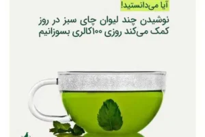 چای سبز رفاه لاهیجان
