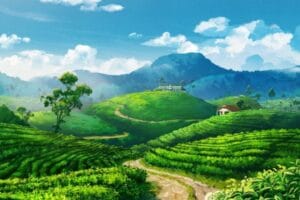 قیمت و خرید چای بهاره لاهیجان