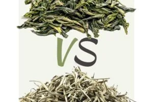 چای سبز vs چای سفید
