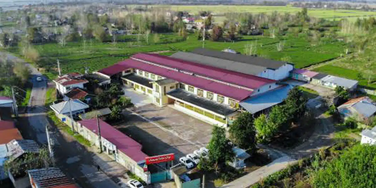 Ebrahimi Brothers Tea Factory in Bazan Village, Astanah Ashrafiyeh