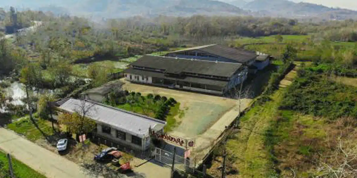 Tima Tea Factory in Morad Dehandeh Village, Lahijan