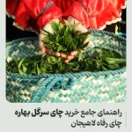 راهنمای جامع خرید چای سرگل بهاره رفاه لاهیجان