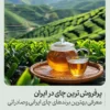 پرفروش ترین چای در ایران