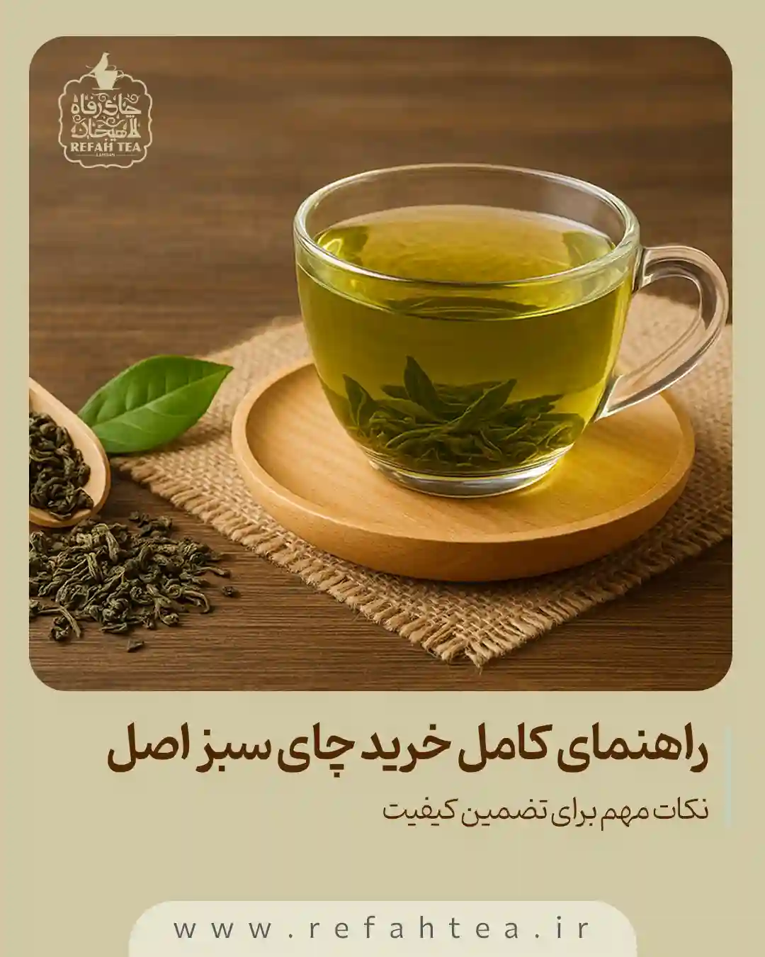راهنمای کامل خرید چای سبز اصل + 3 نکته مهم برای تضمین کیفیت 1 راهنمای کامل خرید چای سبز اصل