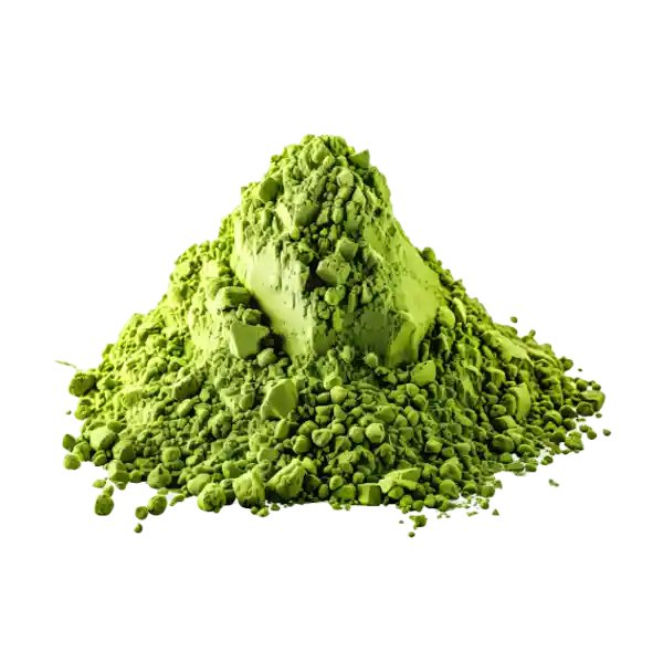 ماچا چیست پودر ماچا با رنگ سبز روشن