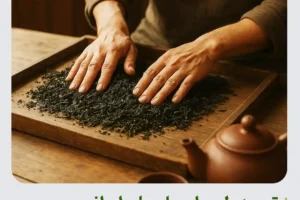 طرز تهیه چای سیاه خانگی به روش سنتی لاهیجان