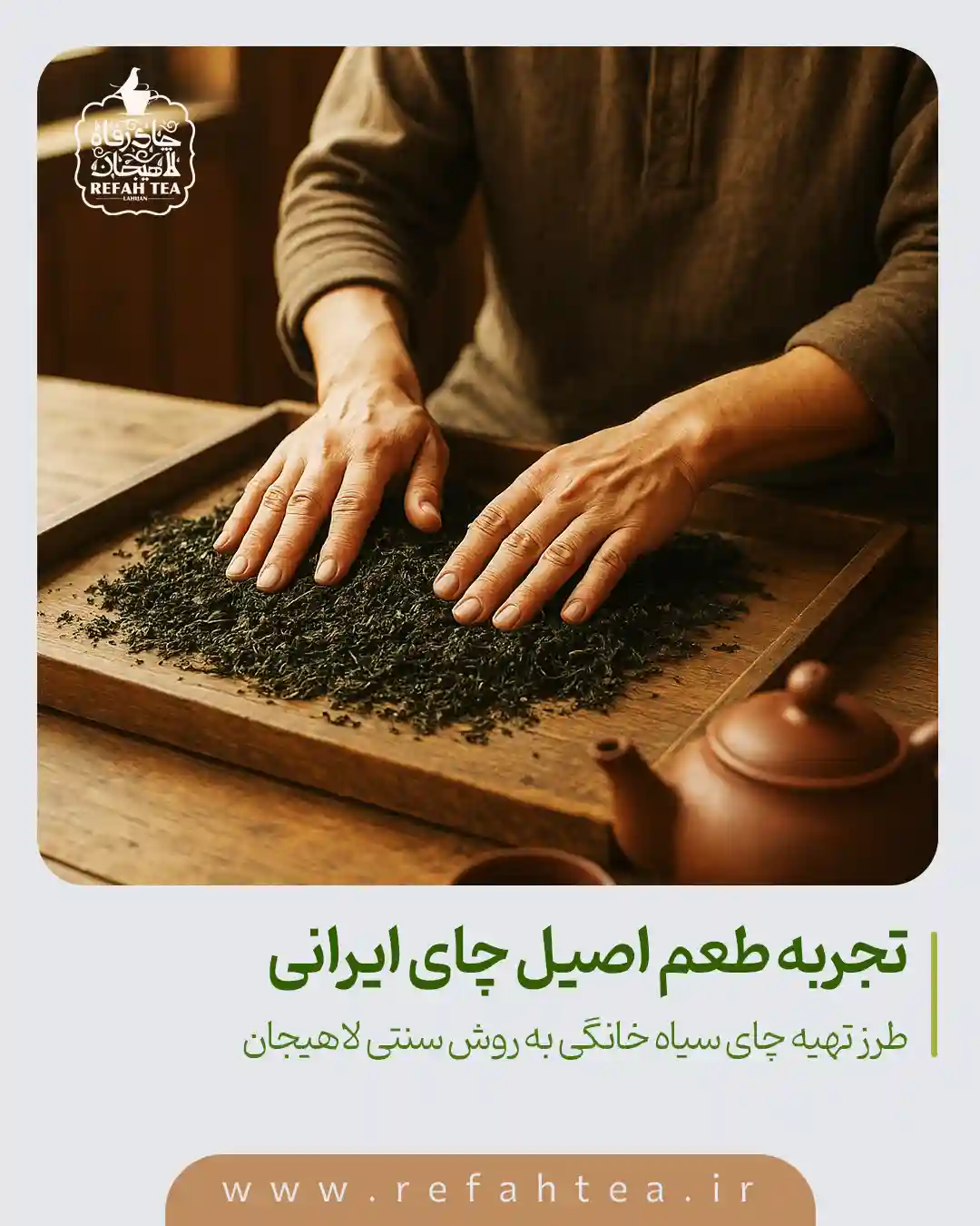 طرز تهیه چای سیاه خانگی به روش سنتی لاهیجان