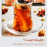 چای نبات چیست؟ خواص، کاربردها، تاریخچه و واقعیت‌های علمی