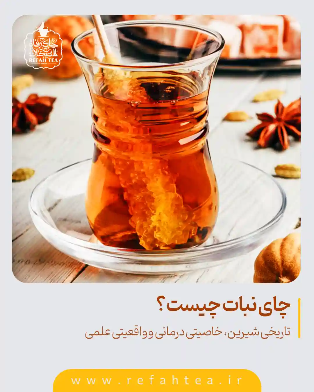 چای نبات چیست؟ خواص، کاربردها، تاریخچه و واقعیت‌های علمی