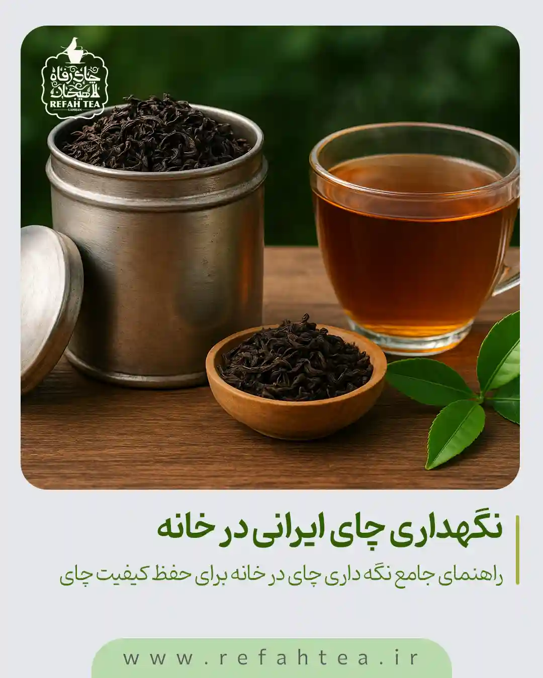 نگهداری چای ایرانی در خانه | چای رفاه لاهیجان