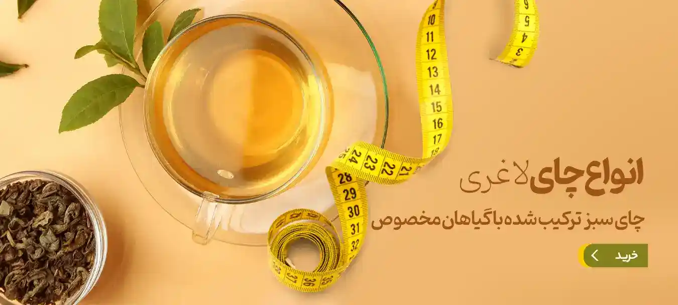 چای سبز لاغری