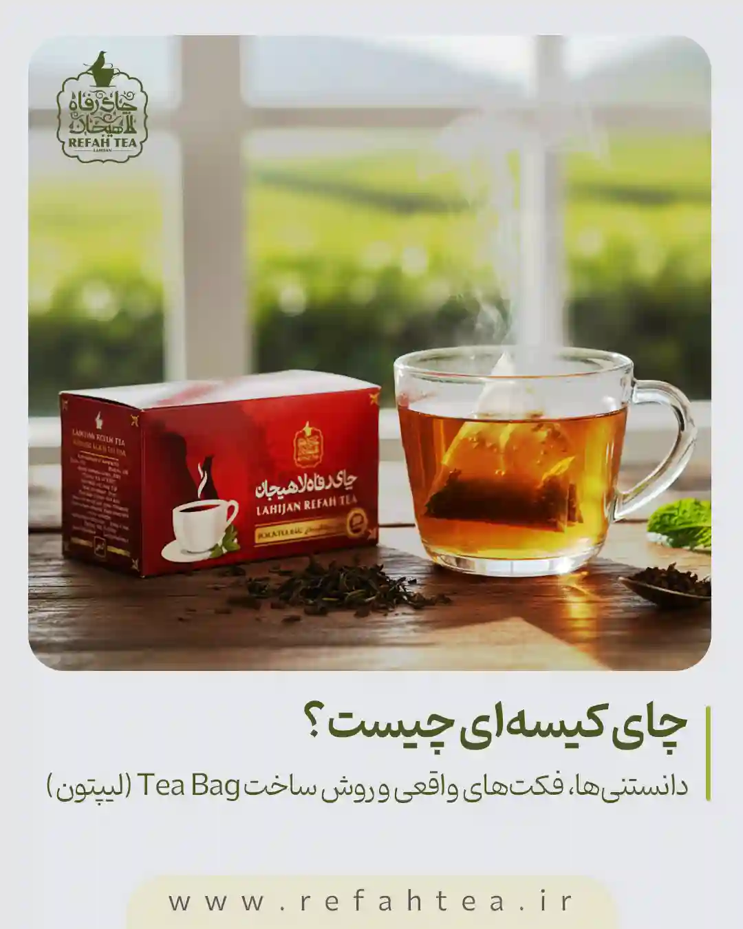 چای کیسهای چیست؟ | دانستنیها، فکتهای واقعی و روش ساخت Tea Bag (لیپتون) 1 چای کیسهای چیست؟